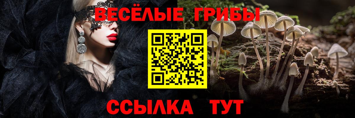 Галлюциногенные грибы GOLDEN TEACHER  Галлюциногенные грибы Psilocybine cubensis  купить закладку  Вход с VPN  Новодвинск 